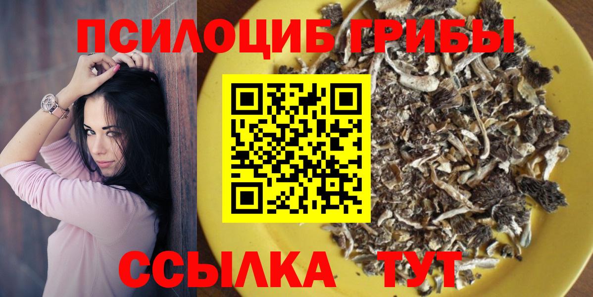 Псилоцибиновые грибы мухоморы Новокузнецк