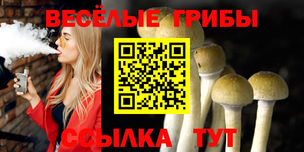 Псилоцибиновые грибы мухоморы  Вход с VPN  Псилоцибиновые грибы MAGIC MUSHROOMS  что такое   Новокузнецк 